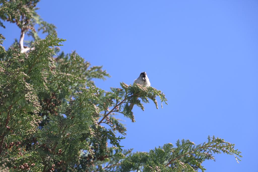 IMG 0755-1024x682