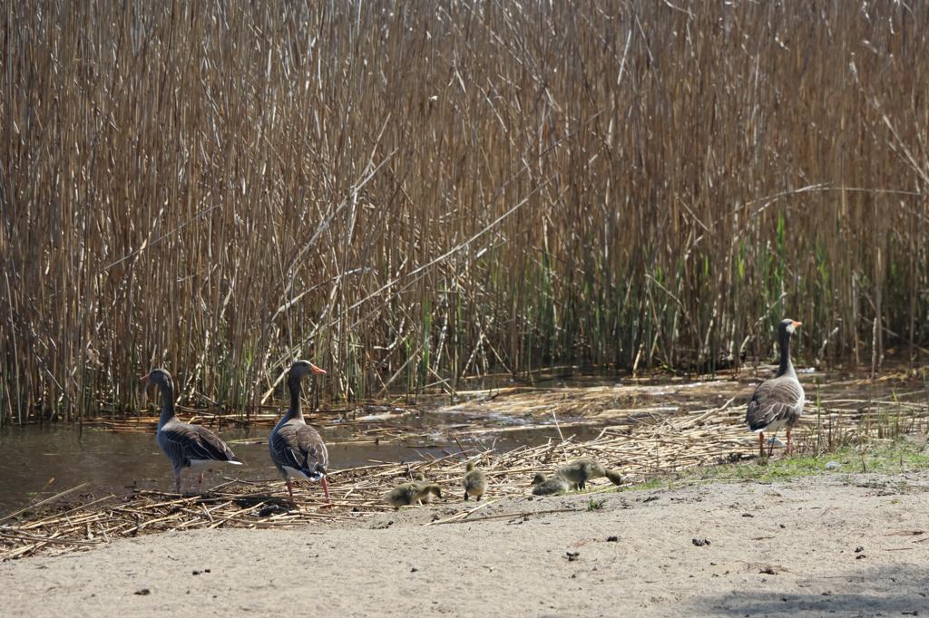 IMG 0757-1024x682